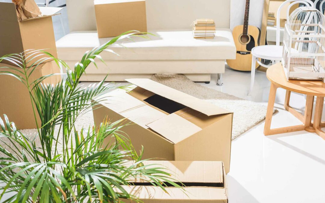 Wer bekommt die Wohnung bei einer Trennung? Was ist zu tun wenn Gewalt im Spiel ist ?