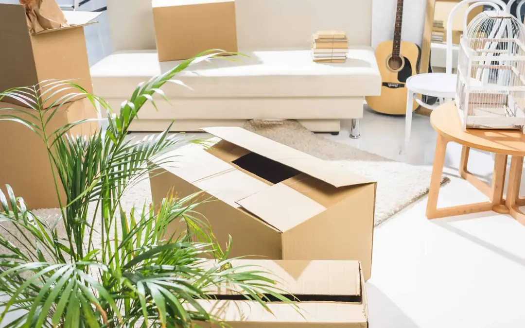 Eigenbedarfskündigung